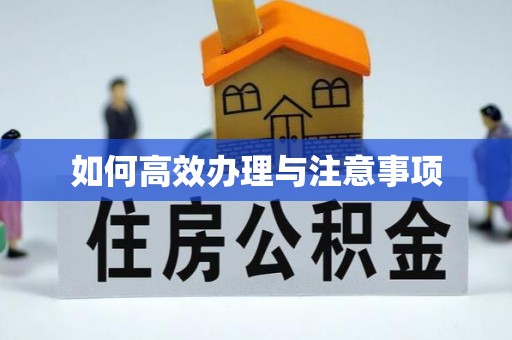 尉氏如何高效办理与注意事项